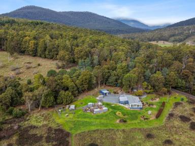 House For Sale - TAS - Meander - 7304 - Meander Lifestyle (Image 2)