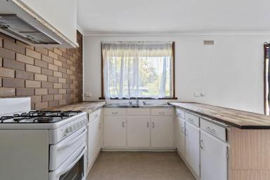 Unit For Sale - VIC - Ironbark - 3550 - Low-Maintenance Living Moments from the CBD  (Image 2)