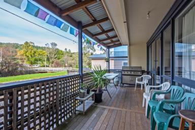 House For Sale - TAS - Queenstown - 7467 - Proven Airbnb Success - Lifestyle & Investment in One  (Image 2)