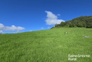 Lifestyle For Sale - NSW - Kangaroo Valley - 2577 - 'KINGS' - A Landholding of Rare Beauty in Wattamolla Via Kangaroo Valley  (Image 2)