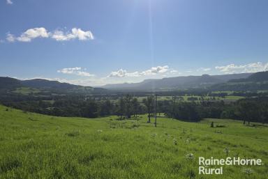Lifestyle For Sale - NSW - Kangaroo Valley - 2577 - 'KINGS' - A Landholding of Rare Beauty in Wattamolla Via Kangaroo Valley  (Image 2)