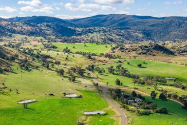 Mixed Farming For Sale - NSW - Wyangala - 2808 - 1,141ACRE* GRAZING OPERATION WITH EXCEPTIONAL WATER VIEWS OVER WYANGALA WATERS! (Image 2)