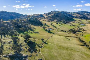 Mixed Farming Auction - NSW - Wyangala - 2808 - 1,141ACRE* GRAZING OPERATION WITH EXCEPTIONAL WATER VIEWS OVER WYANGALA WATERS! (Image 2)