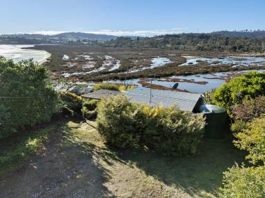House For Sale - TAS - Primrose Sands - 7173 - The Perfect First Step into Primrose Sands  (Image 2)
