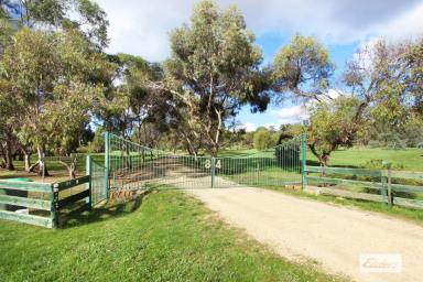 Acreage/Semi-rural For Sale - VIC - Sedgwick - 3551 - PRIVATE LIFESTYLE LIVING IN A BEAUTIFUL PARK LIKE SETTING (Image 2)