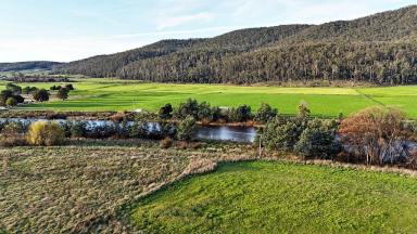 Lifestyle For Sale - TAS - Merseylea - 7305 - Could This Be The Ultimate Lifestyle Farmlet?  (Image 2)