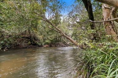 House For Lease - QLD - Koah - 4881 - Rare Riverfront Acreage Retreat!!  (Image 2)