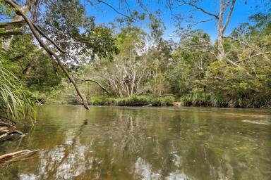 House For Lease - QLD - Koah - 4881 - Rare Riverfront Acreage Retreat!!  (Image 2)