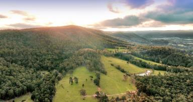 Lifestyle For Sale - NSW - Millfield - 2325 - Prime Acreage on Multiple Titles with Magnificent Views! (Image 2)