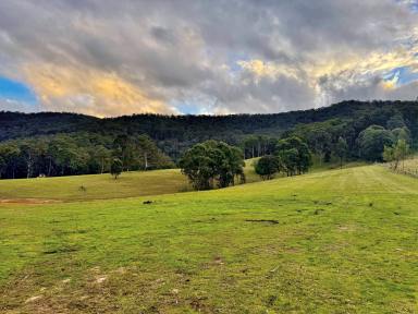 Lifestyle For Sale - NSW - Millfield - 2325 - Prime Acreage on Multiple Titles with Magnificent Views! (Image 2)