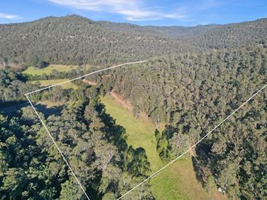 Lifestyle For Sale - NSW - Paynes Crossing - 2325 - Perfect Country Lifestyle Weekender (Image 2)