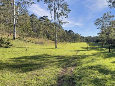 Lifestyle For Sale - NSW - Paynes Crossing - 2325 - Perfect Country Lifestyle Weekender (Image 2)