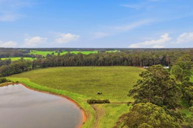 House For Sale - WA - Bramley - 6285 - Stunning Vineyard Lifestyle Retreat  (Image 2)