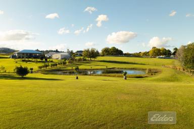 Residential Block For Sale - QLD - Chatsworth - 4570 - Arguably One of the Finest 2-Acre Homesites in the Gympie Region!  (Image 2)