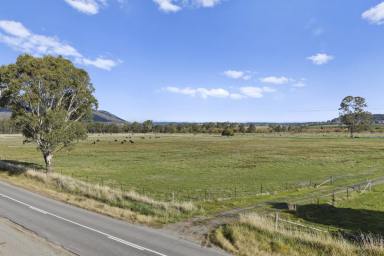 Other (Rural) Auction - VIC - Euroa - 3666 - A Blue-Ribbon Opportunity: Town Water and Seven Creeks Frontage 6km* from Town (Image 2)
