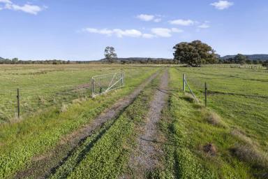 Other (Rural) Auction - VIC - Euroa - 3666 - A Blue-Ribbon Opportunity: Town Water and Seven Creeks Frontage 6km* from Town (Image 2)