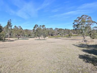 Lifestyle For Sale - TAS - Bagdad - 7030 - Escape to the Country (Image 2)