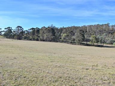 Lifestyle For Sale - TAS - Bagdad - 7030 - Escape to the Country (Image 2)