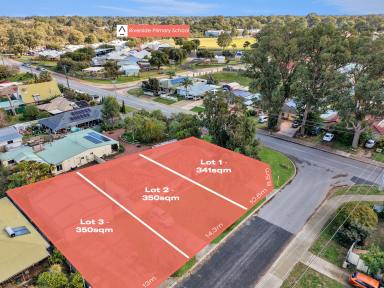 Residential Block For Sale - WA - Greenfields - 6210 - Choice of 3 Street Front Blocks in Outstanding Position  (Image 2)