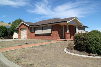 House For Lease - NSW - Tamworth - 2340 - Home with Views  (Image 2)
