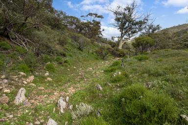 Residential Block For Sale - SA - Quorn - 5433 - 'The Block'  (Image 2)