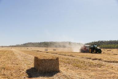 Mixed Farming For Sale - NT - Douglas-daly - 0822 - Large-scale Mixed Farming Opportunity  (Image 2)
