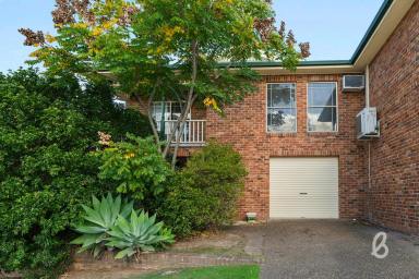 Duplex/Semi-detached Sold - NSW - Singleton - 2330 - Low Maintenance Three Bedroom Torrens Title Duplex  (Image 2)