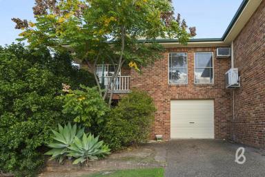 Duplex/Semi-detached Sold - NSW - Singleton - 2330 - Low Maintenance Three Bedroom Torrens Title Duplex  (Image 2)