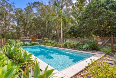 House For Lease - QLD - Cooroibah - 4565 - Acreage Living at its Best  - Mowing and Garden Maintenance Included  (Image 2)