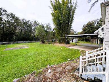 House For Lease - QLD - Cooroibah - 4565 - Traditional Queenslander on Acreage  (Image 2)