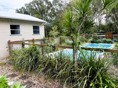 House For Lease - QLD - Cooroibah - 4565 - Traditional Queenslander on Acreage  (Image 2)