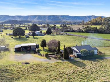 House For Sale - TAS - Mole Creek - 7304 - Country Charm with Space & Self-Sufficiency  (Image 2)