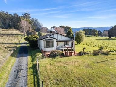 House For Sale - TAS - Mole Creek - 7304 - Country Charm with Space & Self-Sufficiency  (Image 2)