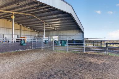 Lifestyle For Sale - VIC - Seaton - 3858 - Fantastic Horse/Rural Property Ready To Build Your Forever Home (Image 2)