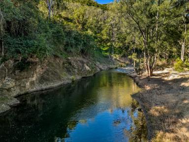 Lifestyle For Sale - NSW - Gloucester - 2422 - Riverside" - A Rare Manning River Lifestyle Retreat (Image 2)