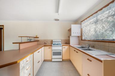 House For Sale - QLD - Walkervale - 4670 - Solid Brick. Real Opportunity. Submit Your Best Offer! (Image 2)