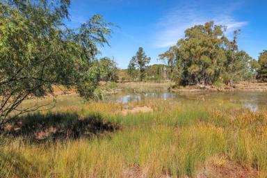 Acreage/Semi-rural Sold - NSW - Emmaville - 2371 - Prime Lifestyle Acreage with Water Feature & Endless Potential  (Image 2)