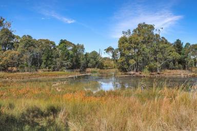 Acreage/Semi-rural Sold - NSW - Emmaville - 2371 - Prime Lifestyle Acreage with Water Feature & Endless Potential  (Image 2)