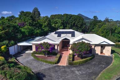 Acreage/Semi-rural For Sale - QLD - Cooroy - 4563 - Elite Noosa Hinterland Location  (Image 2)