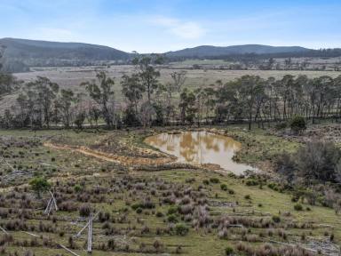 Residential Block For Sale - TAS - Bicheno - 7215 - Lot 13 / 524 Rosedale Road, Bicheno  (Image 2)
