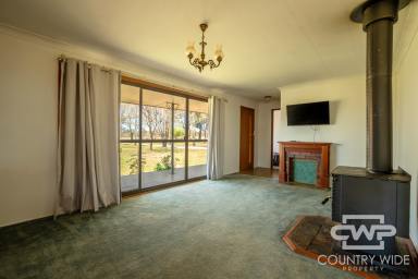 House For Sale - NSW - Guyra - 2365 - Spacious Family Home on 11 Acres with Town Water  (Image 2)