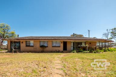 House For Sale - NSW - Guyra - 2365 - Spacious Family Home on 11 Acres with Town Water  (Image 2)