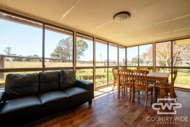 House For Sale - NSW - Guyra - 2365 - Spacious Family Home on 11 Acres with Town Water  (Image 2)