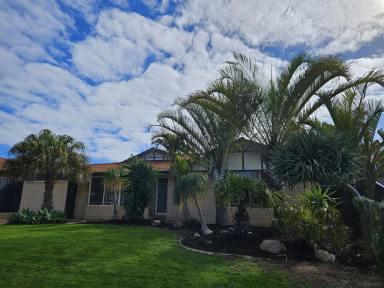 House For Lease - WA - Merriwa - 6030 - Holiday Vibes at Home Freshly Renovated & Ready to Enjoy  (Image 2)