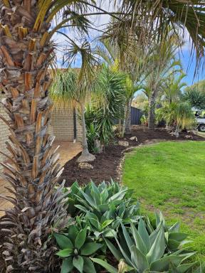 House Leased - WA - Merriwa - 6030 - Holiday Vibes at Home Freshly Renovated & Ready to Enjoy (Image 2)