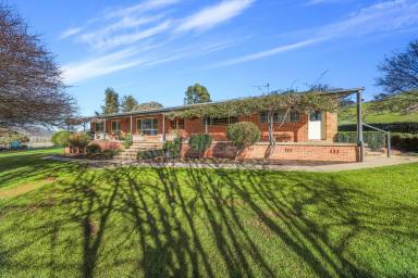 House For Sale - NSW - Tumut - 2720 - What A Find!  (Image 2)