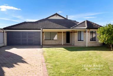 House For Sale - WA - Banksia Grove - 6031 - SPACE, COMFORT & CONVENIENCE (Image 2)