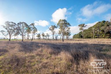 Residential Block For Sale - NSW - Guyra - 2365 - Vacant Lifestyle Block – 2.96 Acres Close to Town (Image 2)