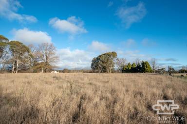 Residential Block For Sale - NSW - Guyra - 2365 - Vacant Lifestyle Block – 2.96 Acres Close to Town (Image 2)
