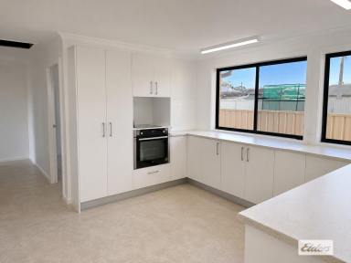 House For Lease - NSW - Cundletown - 2430 - Renovated Family Home with Multiple Living Areas in Popular Cundletown (Image 2)